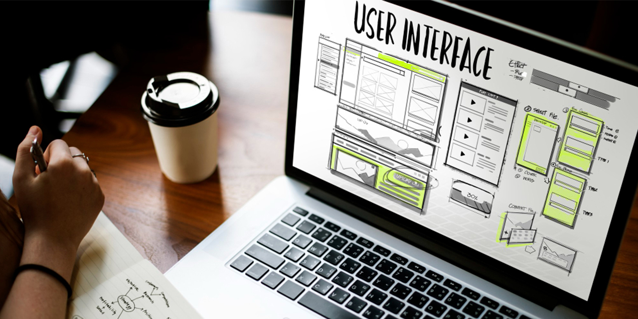 Website Development & AMC